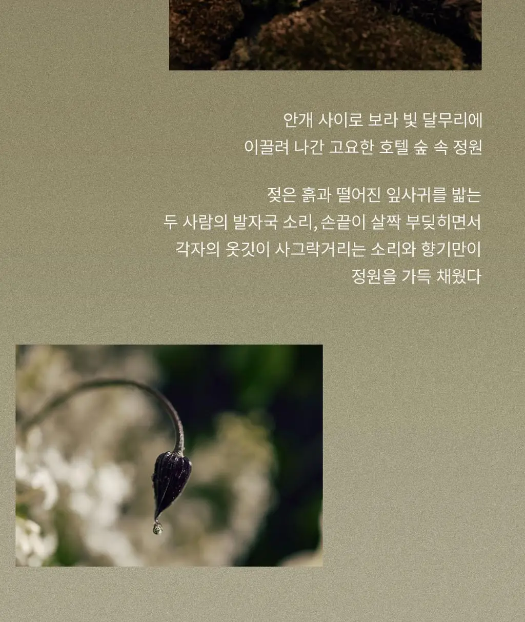 호텔도슨 디퓨저 자르댕미드나잇 250ml [아로마틱 우드 향] 상세페이지 10